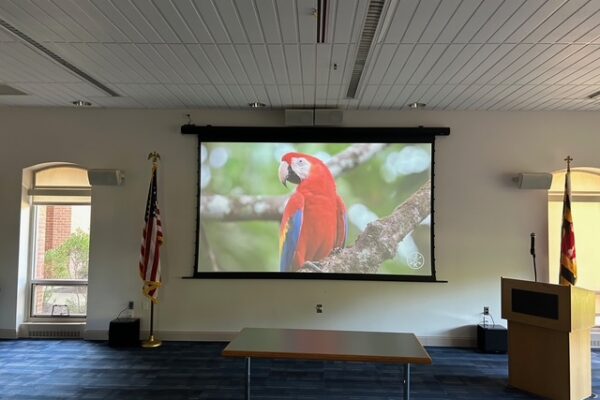 Screen with image