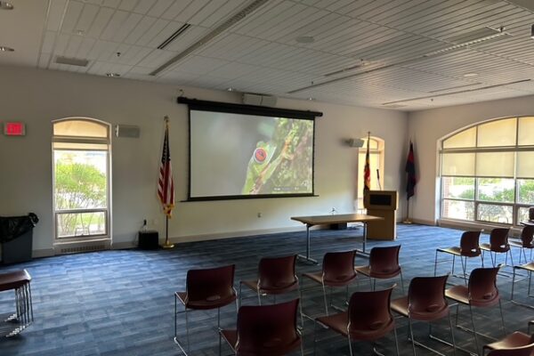 Side view with ceiling speakers