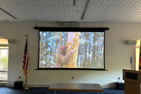 Screen with front channel speakers