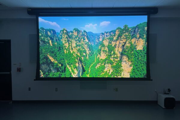 Screen and front speakers